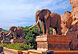 Western Province Elephants